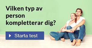 Vilken typ av person kompletterar dig?