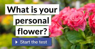 What is your personal flower?