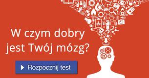 W czym dobry jest Twój mózg?
