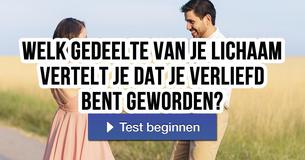 Welk gedeelte van je lichaam vertelt je dat je verliefd bent geworden?