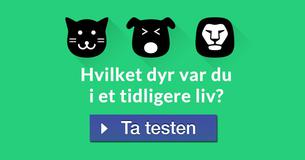 Hvilket dyr var du i et tidligere liv?