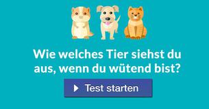 Wie welches Tier siehst Du aus, wenn Du wütend bist?