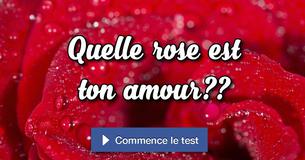 Quelle rose est ton amour ?