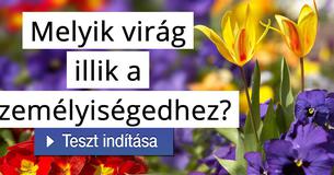 Melyik virág illik a személyiségedhez?