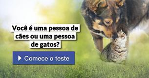 Você é uma pessoa de cães ou uma pessoa de gatos?