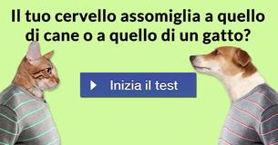 Il tuo cervello assomiglia a quello di cane o a quello di un gatto?