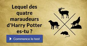 Lequel des quatre maraudeurs d'Harry Potter es-tu ?