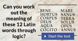 Can you work out the meaning of these 12 Latin words through logic?