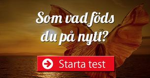Som vad föds du på nytt?