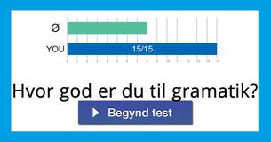 Hvor god er du til gramatik? 