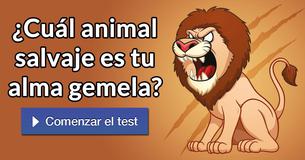 ¿Cuál animal salvaje es tu alma gemela?