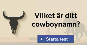 Vilket är ditt cowboynamn?
