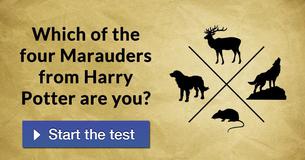 Which of the four Marauders from Harry Potter are you?