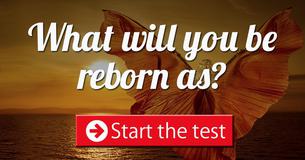 What will you be reborn as?