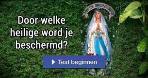 Door welke heilige word je beschermd?
