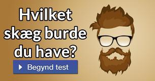 Hvilket skæg burde du have?