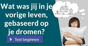 Wat was jij in je vorige leven, gebaseerd op je dromen?