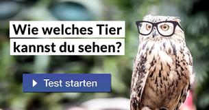 Wie welches Tier kannst du sehen?
