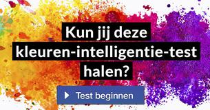 Kun jij deze kleuren-intelligentie-test halen?