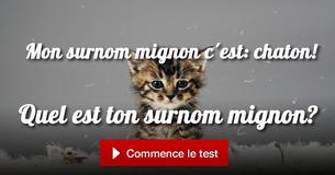 Quel est ton surnom mignon?