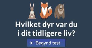 Hvilket dyr var du i dit tidligere liv?