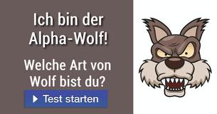 Welche Art von Wolf bist du?
