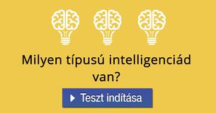 Milyen típusú intelligenciád van?