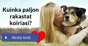 Kuinka paljon rakastat koiriasi?