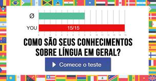 Como são seus conhecimentos sobre língua em geral? 