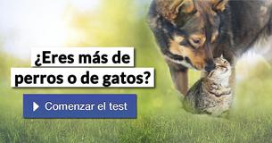 ¿Eres más de perros o de gatos?