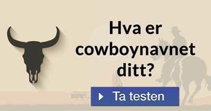 Hva er cowboynavnet ditt?