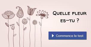 Quelle fleur es-tu ?