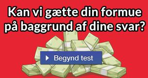 Kan vi gætte din formue på baggrund af dine svar?