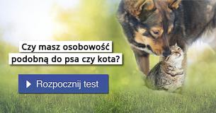 Czy masz osobowość podobną do psa czy kota?