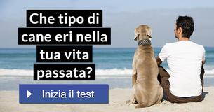 Che tipo di cane eri nella tua vita passata? 