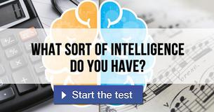 What sort of intelligence do you have?