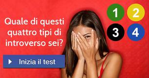 Quale di questi quattro tipi di introverso sei?