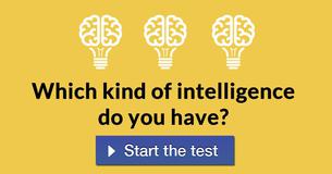 Which kind of intelligence do you have?