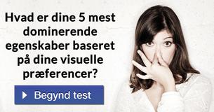 Hvad er dine 5 mest dominerende egenskaber baseret på dine visuelle præferencer?