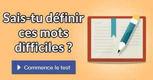 Sais-tu définir ces mots difficiles ?