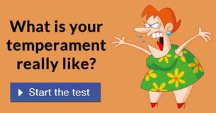 What is your temperament really like?