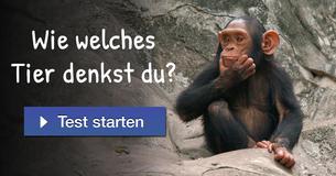 Wie welches Tier denkst du?