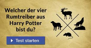 Welcher der vier Rumtreiber aus Harry Potter bist Du?