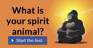 What is your spirit animal?