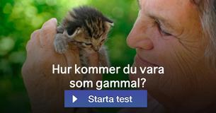 Hur kommer du vara som gammal?