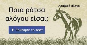 Ποια ράτσα αλόγου είσαι;