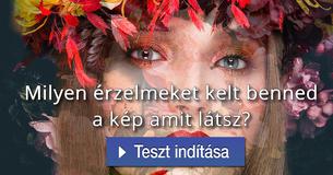 Milyen érzelmeket kelt benned a kép amit látsz?