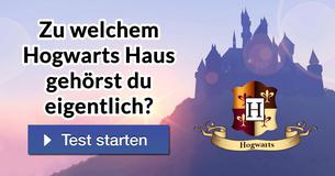 Zu welchem Hogwarts Haus gehörst du eigentlich?