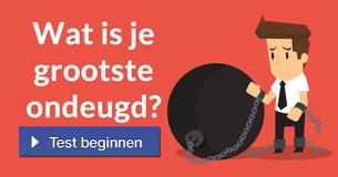 Wat is je grootste ondeugd?
