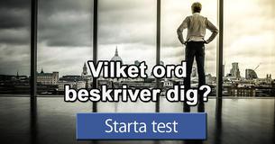 Vilket ord beskriver dig?